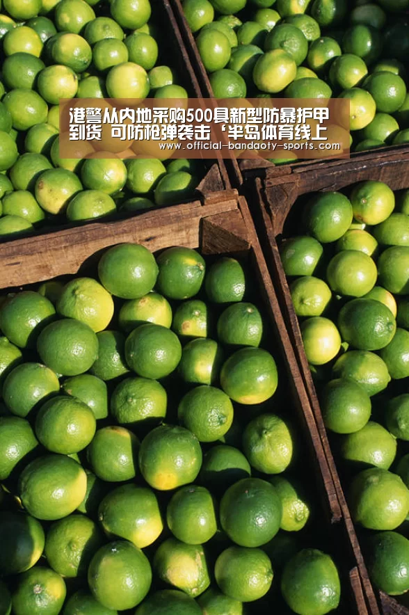 半岛体育线上观看