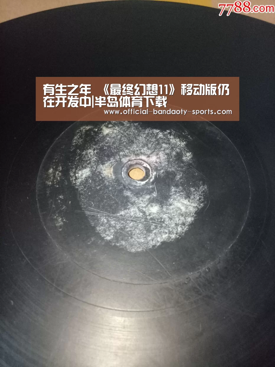 半岛体育体育娱乐