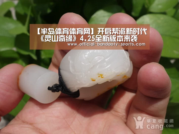 半岛体育体育网